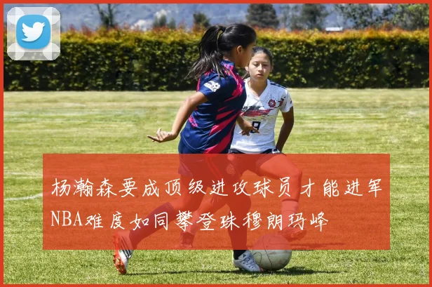 杨瀚森要成顶级进攻球员才能进军NBA难度如同攀登珠穆朗玛峰